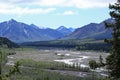 Denali National Park Royalty Free Stock Photo