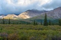 Denali National Park, George Parks Highway, Alaska Mountain range Royalty Free Stock Photo