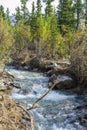 Denali National Park, George Parks Highway, Alaska Mountain range Royalty Free Stock Photo