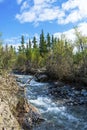 Denali National Park, George Parks Highway, Alaska Mountain range Royalty Free Stock Photo