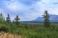 Denali National Park, George Parks Highway, Alaska Mountain range, Savage River Royalty Free Stock Photo