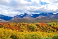 Denali National Park Landscape