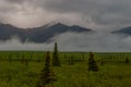 Denali National Park Landscape Royalty Free Stock Photo