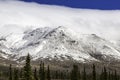 Denali National Park landscape Royalty Free Stock Photo