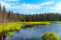 Denali National Park, Pacific north west mountains, Alaska Landscape Photography Royalty Free Stock Photo