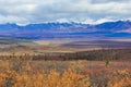 Scenic Viewpoint of Denali National Park Alaska Royalty Free Stock Photo