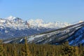 Denali National Park and Preserve Royalty Free Stock Photo