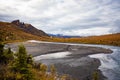 Denali national park Savage river Canyon trail view Royalty Free Stock Photo