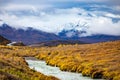 Denali national park Savage river Canyon trail view Royalty Free Stock Photo