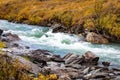 Denali national park Savage river Canyon trail view Royalty Free Stock Photo