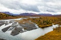 Denali national park Savage river Canyon trail view Royalty Free Stock Photo