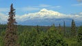 Panoramic view in the Denali National Park