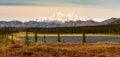 Denali Range Mt McKinley Alaska North America Royalty Free Stock Photo