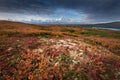 Denali at sunrise with tundra and bushed in Fall color near reflection pond, Denali NP, Alaska, U.S.A Royalty Free Stock Photo