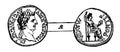 Denarius of Tiberius Caeser vintage illustration