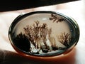 Dendrite Agate Chalcedony - Aquascape Motif