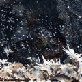 Dendrite crystals formed on the icy surface of forest lake. Close-up, beautiful natural phenomenon