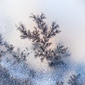 Dendrite crystals macro Royalty Free Stock Photo