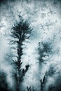 Dendrite crystal macro Royalty Free Stock Photo
