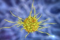 Dendritic cell, antigen-presenting immune cell Royalty Free Stock Photo