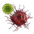 Dendritic cell attacking virus Royalty Free Stock Photo