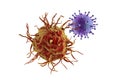 Dendritic cell attacking virus