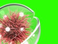 Dendritic cell concept medical background 3d render on green skreen