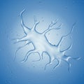 A dendritic cell Royalty Free Stock Photo