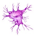 Dendritic cell or DC is an antigen-presenting cell. Immune system Royalty Free Stock Photo