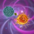 Dendritic cell presenting antigen to T-cell Royalty Free Stock Photo