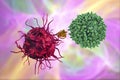 Dendritic cell presenting antigen to T-cell Royalty Free Stock Photo