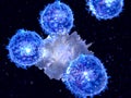 Dendritic cell presenting an antigen to T-lymphocytes Royalty Free Stock Photo