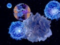 Activation of the immune response: antigen presenting cell activates T-lymphocytes (smaller c Royalty Free Stock Photo