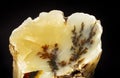 Dendritic opal. Opal on a black background. Opal is a hydrated amorphous form of silica. the mineral sample