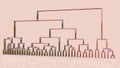 Dendrogram, a diagram representing a tree used to demonstrate results of hierarchical clustering in statistical analysis of data