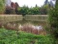 Lake, autumn in Dendrological Park Arboretum Silva Royalty Free Stock Photo