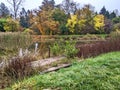 Lake, autumn in Dendrological Park Arboretum Silva Royalty Free Stock Photo