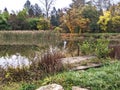 Lake, autumn in Dendrological Park Arboretum Silva Royalty Free Stock Photo