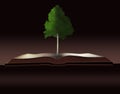 Dendrology, the study of trees is illustrated with a tree growing out of a book. Royalty Free Stock Photo