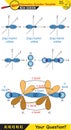 Chemistry - Functional groups commonly found in organic chemistry, Structural formula, organic chemical, Concept for basic chemist