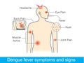 Dengue fever symptoms and signs