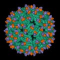 Cryo-EM structure of Dengue virus strain green complexed with human antibody brown and violet Royalty Free Stock Photo