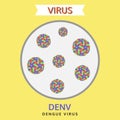 Dengue virus, denv virus, vector