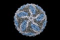 Dengue virus digital image structure. Royalty Free Stock Photo