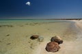 Little lagoon shore. Denham. Shark Bay. Western Australia