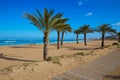 Denia beach Las Marinas with palm trees Alicante Royalty Free Stock Photo