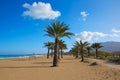 Denia beach Las Marinas with palm trees Alicante