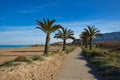 Denia Las Marinas beach palm trees in Spain