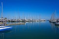 Denia marina port boats in alicante