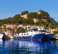 Denia Port with castle hill Alicante province Spain